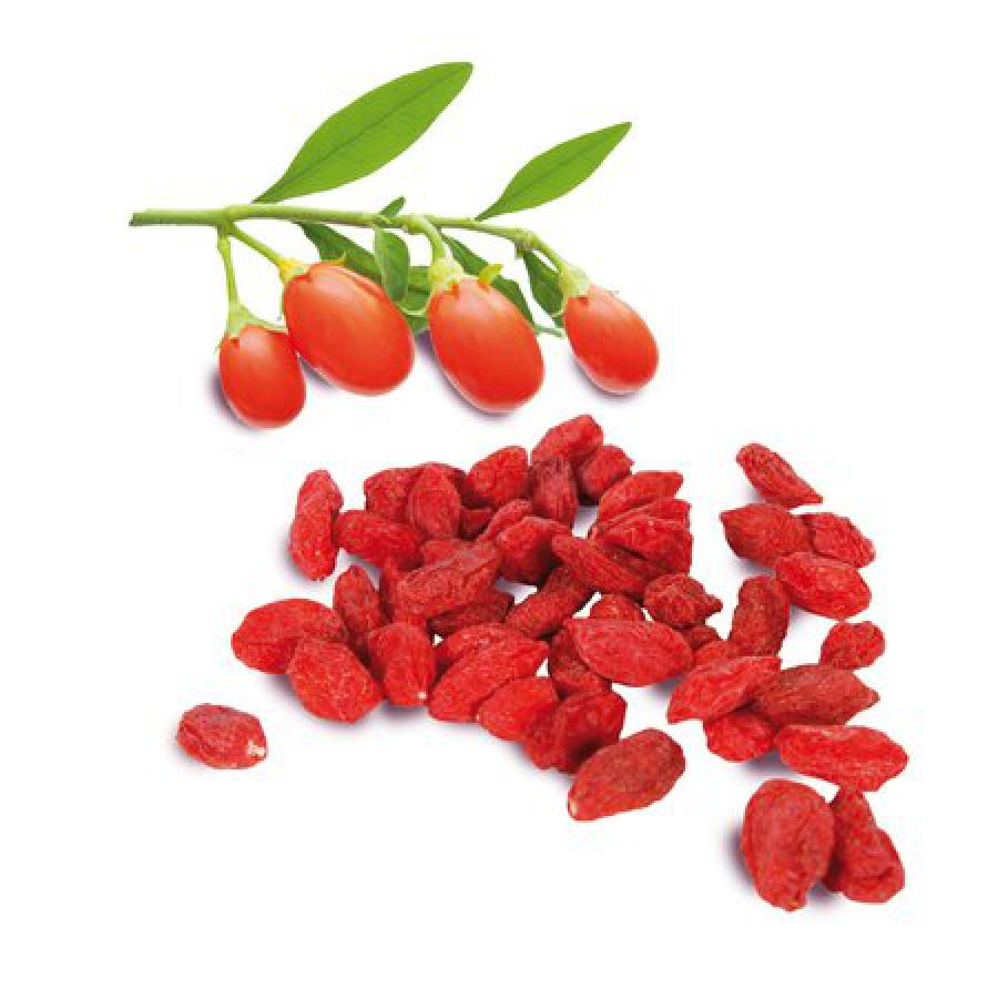 goji 2